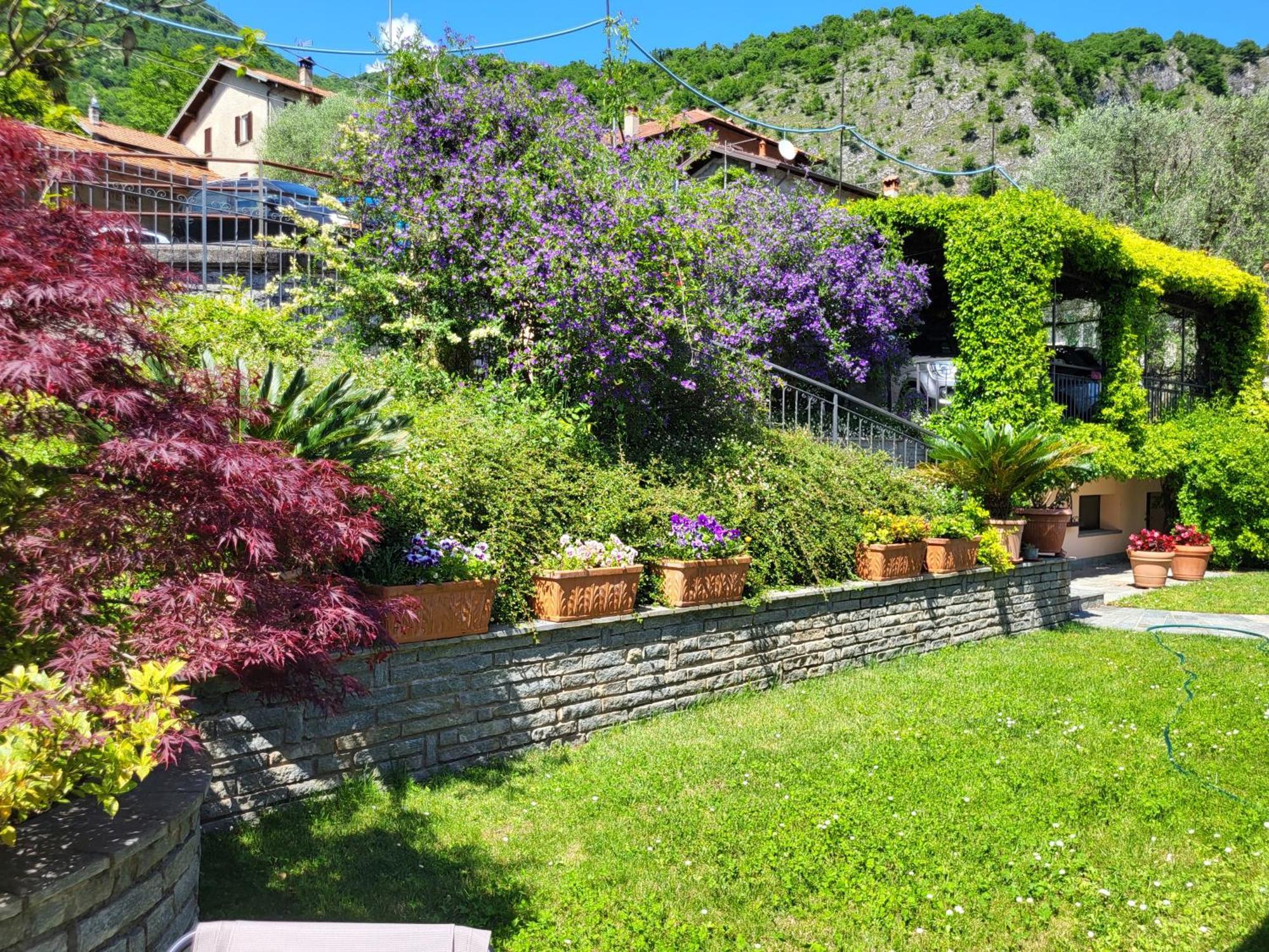 Casa Intignano - Appartamento Con Terrazzo Vista Lago Tremezzo Exteriör bild