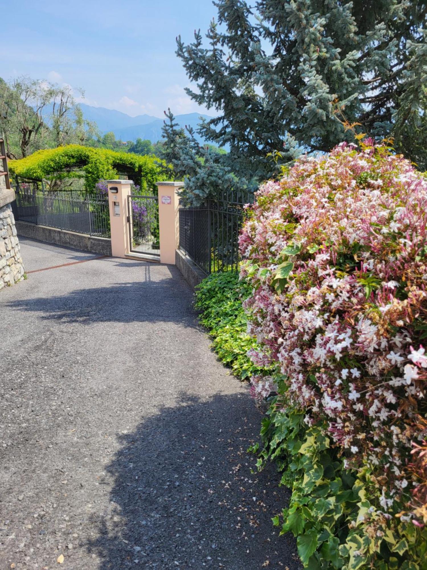 Casa Intignano - Appartamento Con Terrazzo Vista Lago Tremezzo Exteriör bild
