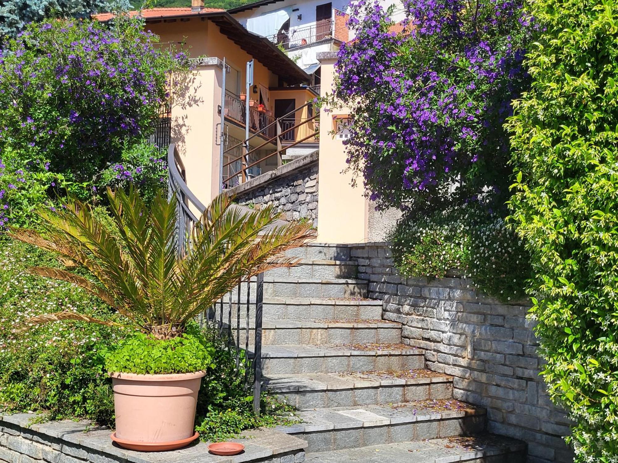 Casa Intignano - Appartamento Con Terrazzo Vista Lago Tremezzo Exteriör bild
