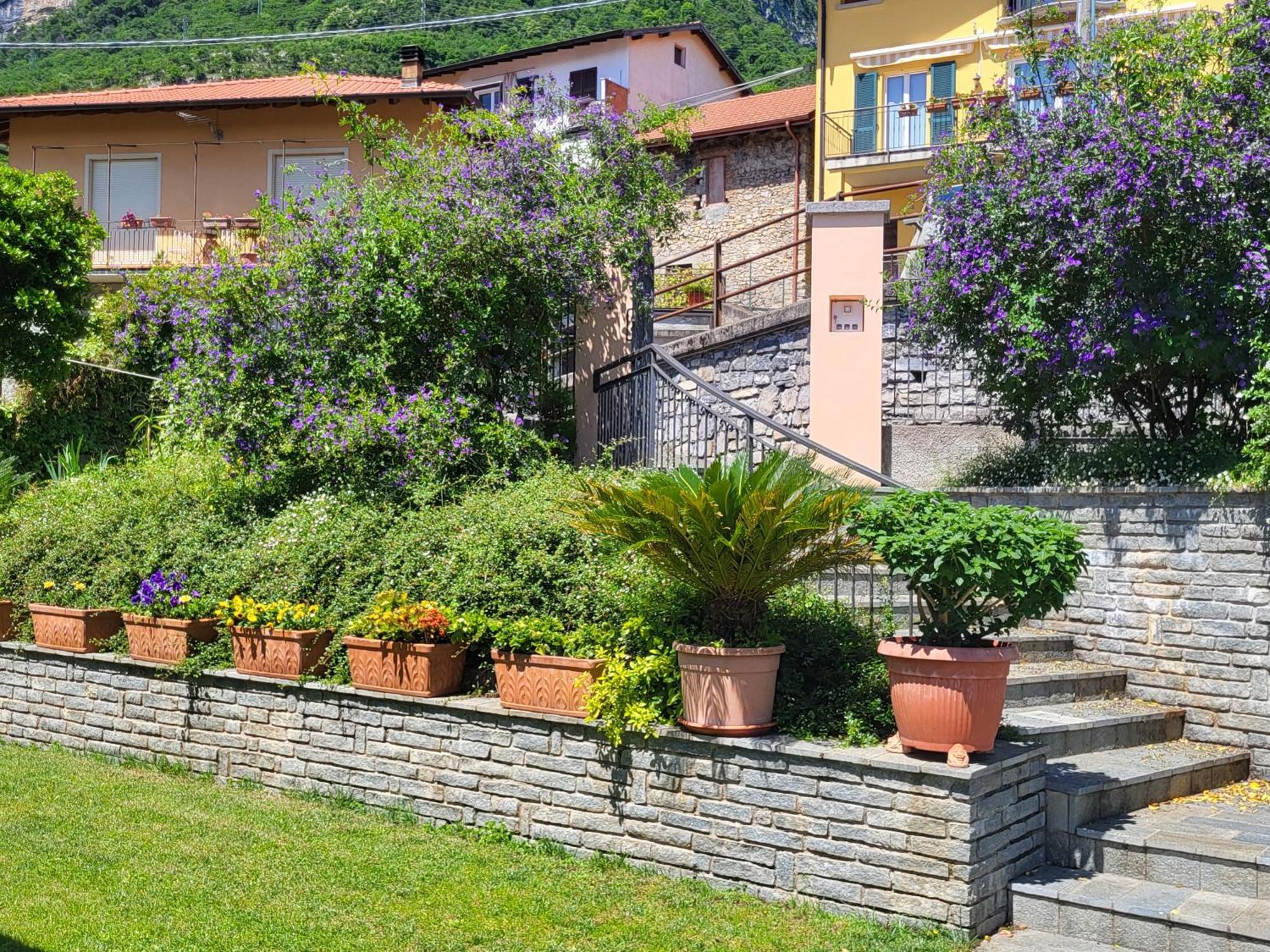 Casa Intignano - Appartamento Con Terrazzo Vista Lago Tremezzo Exteriör bild